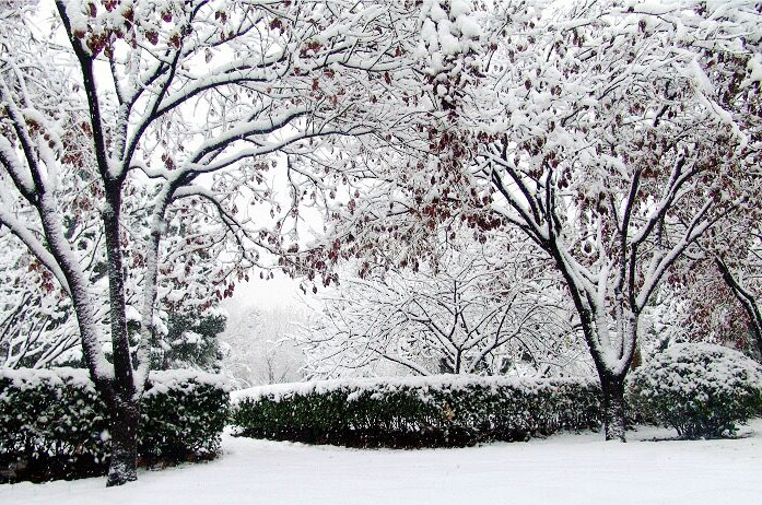 山東畫室找哪家